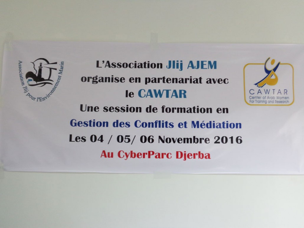 Projets de renforcement des capacités de la  société civile pour un meilleur leadership et gestion des conflits communautaires